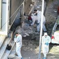 U Solunu poginula žena kada joj je u ruci eksplodirala bomba