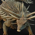Bodljikavi dinosaurus – najstariji fosil ankilosaurusa pronađen u Maroku