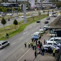Nemačka policija zaustavila kombi kod Berlina – unutra pronašla šest ponija, dve lame, magarca i pticu nandu