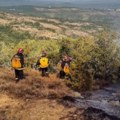 Srpski vatrogasci nastavili borbu sa vatrenom stihijom u Grčkoj