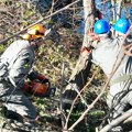 Projekti civilno-vojne saradnje u Bujanovcu i Ivanjici: Vojska čisti rečno korito i uklanja rastinje i stabla (foto)