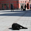 Sutra u Srbiji promenljivo oblačno vreme sa sunčanim intervalima