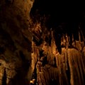Stvorenja iz Resavske pećine privukla pažnju svetske naučne zajednice: Šta se krije u mraku najlepše pećine u Srbiji