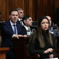 Mesarović: Osuđujem nasilje u Novom Sadu, pokušavaju da izazovu nemire