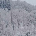 U Sloveniji pao sneg: Očekuje se da će još da veje