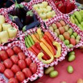 Festival zimnice u Koceljevi okupio više od 230 izlagača i 280 takmičarskih ekipa