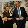 Analize u EU: Kriza u Francuskoj je i kriza Evrope
