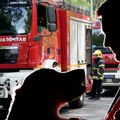 Ovo je najtužnija priča o vernosti: Pas i nepokretni vlasnik otišli zajedno u smrt, tuga na Umci