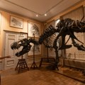Dinosaurusi kakve do sada nikad nismo videli: U muzeju u Amsterdamu otvorena nesvakidašna izložba - ko ima priliku, ovo ne…