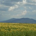 РХМЗ најављује јаке непогоде у деловима Србије, покренута процедура за пренос СМС упозорења
