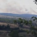 Požar u okolini Žitnog Potoka, vatrogasci i dobrobrovoljna vatrogasna društva na terenu