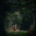 Девет ауторских филмова у такмичарској селекцији „Светионици“, 10. Панчево Филм Фестивала