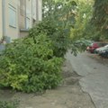 Stanari Kneza Višeslava o planovima za Košutnjak: Na rešenju nema naših zgrada, gde ćemo da živimo