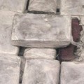 Gradonačelnica Tampe pecala, pa pronašla kokain vredan više od milion dolara