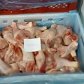 Ministarstvo poljoprivrede: Zaplenjeno 40 tona pilećeg mesa zaraženog salmonelom