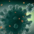 Hara epidemija novog soja korone! Frankenštajnov virus se rapidno širi, ovo su prvi simptomi