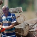 Lazarevići sve videli na društvenim mrežama i primenili na svojim njivama - prinos dupliran