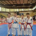 Veliki uspeh Karate kluba Srem na Kupu Srbije u Mladenovcu