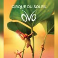 Novogodišnja čarolija uz Cirque du Soleil: 20 odsto popusta na predstavu „OVO“