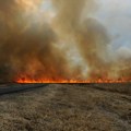 Bukte požari kod Novog Sada: Nepristupačan teren otežava vatrogascima FOTO