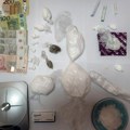 U Staroj Pazovi uhapšen osumnjičeni za proizvodnju i prodaju droge