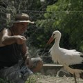 Srpska premijera filma „Priča o Silijanu“ Tamare Kotevske otvara 72/73. Martovski festival