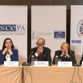 Posmatrači međunarodnih misija: Velika izlaznost dobar indikator, vlast tokom kampanje zloupotrebljavala resurse