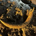 FOTO: Kljova mamuta stara bar 10.000 godina pronađena u rudniku u Severnoj Dakoti