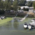 Ljubili se na zadnjem sedištu kola sa pogledom na Savu, a onda je počeo horor - muškarac (29) hitno prebačen u bolnicu…
