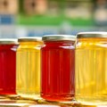 Med na testu: Raste potražnja, ali i sumnja: Dok pčele nestaju, tržište u Srbiji preplavljuju sumnjivi proizvodi (video)