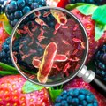 Salmonela vreba i u namirnicama koje deluju sveže: Ovo su simptomi trovanja i načini zaštite