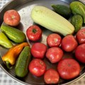 Organska proizvodnja u Srbiji: Neiskorišćena šansa za zaradu, ali i lično uživanje