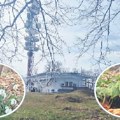 „Dnevnik” NA najvišim tačkama Vojvodine: Crveni čot (539 metara) Ponos Srema pod video nadzorom