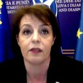 Gervala obavestila Savet Evrope da Priština do kraja maja šalje statut ZSO ustavnom sudu