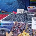 Berba borovnica u punom jeku: Dnevno se ubere i do 20 kg, evo kako se kreću dnevnice