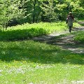 Insekti mogu da budu prenosioci raznih bolesti Iz Instituta za javno zdravlje upozoravaju: Čuvajte se od komaraca, krpelja…