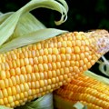 Produktna berza: aktivnost tražnje smanjena drugu nedelju zaredom