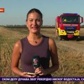 Požari na otvorenom u okolini Novog Sada, vatrogasci na terenu