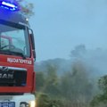 Devet požara za 24 sata! Drama u Kruševcu, plamen zahvatio šumu