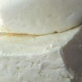 Prvi sertifikovani organski sir i kajmak sa Zlatibora