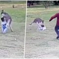 Šokantan trenutak: Kengur iz zaleta naskočio na dvogodišnju devojčicu, oborio je na pod, ali onda je ugledao njega (video)