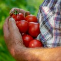 Proizvodnja organske hrane napreduje sporo uprkos povećanoj tražnji