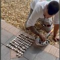 Pronašli su gomilu neobičnih jaja u dvorištu: Kad su saznali čija su, prebledeli su od užasa
