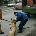 Kreni – Promeni traži zabranu rada firme Avenija MB: To nije prihvatilište već sistemski koruptivni mehanizam za ubijanje…