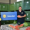Lidl otkupio 5.000 tona domaćih lubenica ove sezone