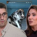 "Sam je skočio iz lavaboa u kadu!" Isplivao izveštaj koji je Kristijan podneo veterinaru nakon optužbi za zlostavljanje psa