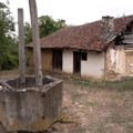 Ima li potencijala da ožive Župske poljane, autentična vinogradarska etno-naselja u aleksandrovačkoj Župi?
