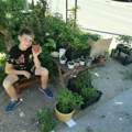 Vredni Miloš (10) prodaje ljute papričice da bi sebi kupio opremu za trotinet