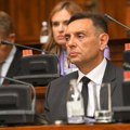 Aleksandar Vulin: Specijalni izaslanik za Rusiju ili „nestašni ministar“?