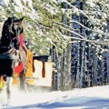 Beograđanke najlepše fotografišu Zlatibor